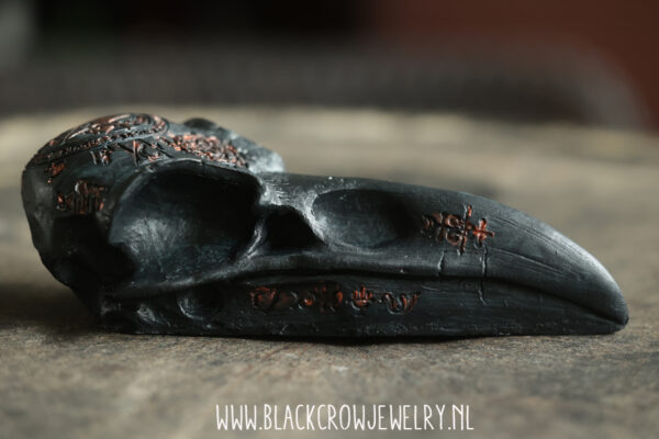 Raven/Crow skull 2 (uitverkocht) - Afbeelding 4