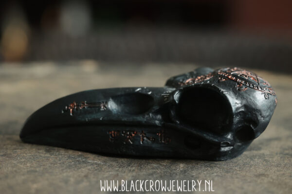 Raven/Crow skull 2 (uitverkocht) - Afbeelding 3