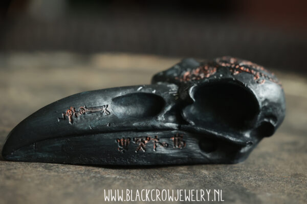 Raven/Crow skull 2 (uitverkocht) - Afbeelding 2