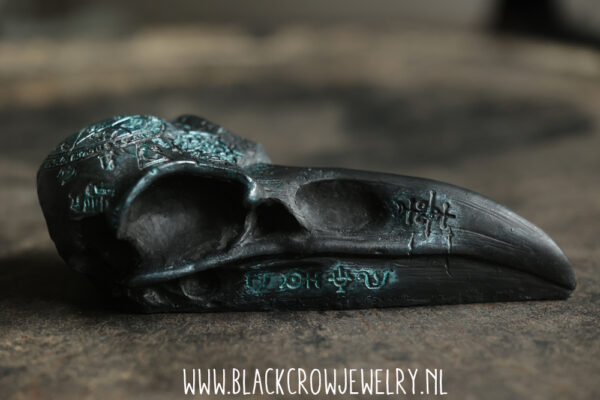 Raven/Crow skull 4 (uitverkocht) - Afbeelding 2