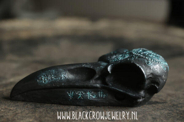 Raven/Crow skull 4 (uitverkocht) - Afbeelding 3