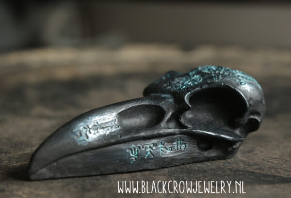 Raven/Crow skull 4 (uitverkocht) - Afbeelding 4