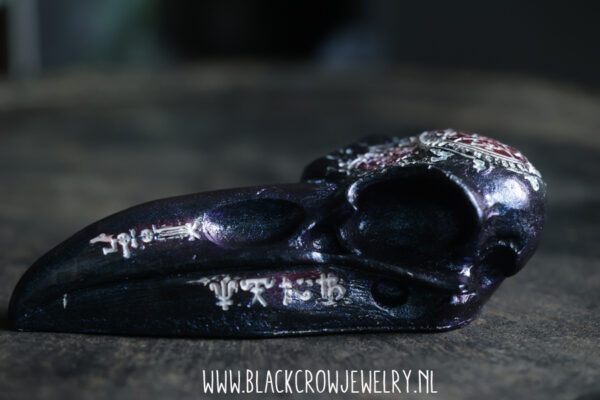 Raven/Crow skull 6 - Afbeelding 3