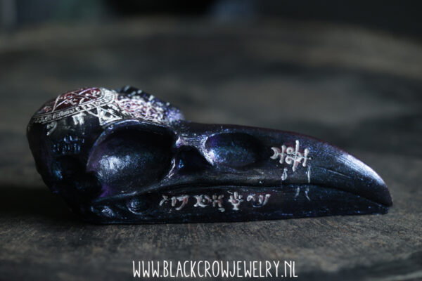 Raven/Crow skull 6 - Afbeelding 4