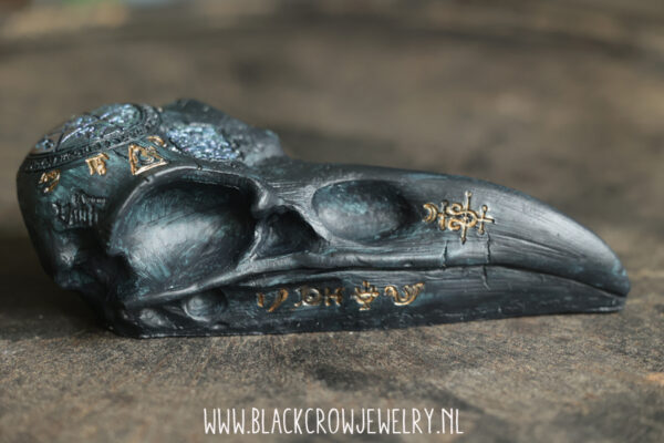 Raven/Crow skull 7 (uitverkocht) - Afbeelding 2