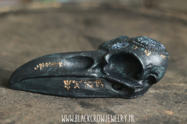 Raven/Crow skull 7 (uitverkocht) - Afbeelding 3