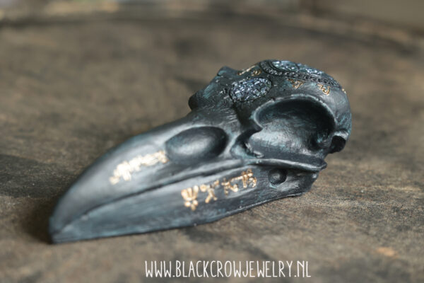 Raven/Crow skull 7 (uitverkocht) - Afbeelding 4