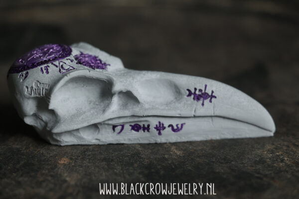 Raven/Crow skull 8 (uitverkocht) - Afbeelding 2