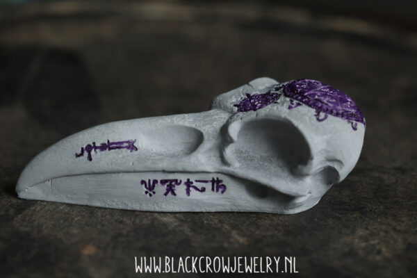 Raven/Crow skull 8 (uitverkocht) - Afbeelding 4