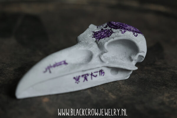 Raven/Crow skull 8 (uitverkocht) - Afbeelding 3