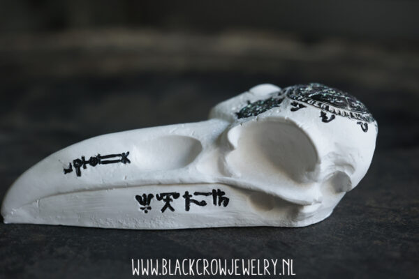 Raven/Crow skull 9 (uitverkocht) - Afbeelding 2