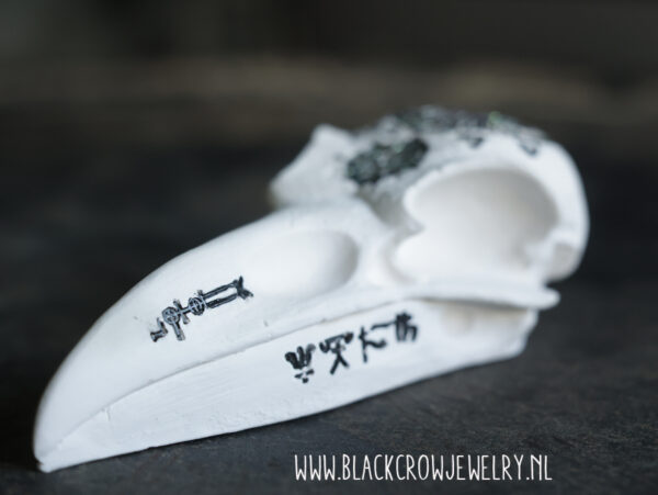 Raven/Crow skull 9 (uitverkocht) - Afbeelding 4