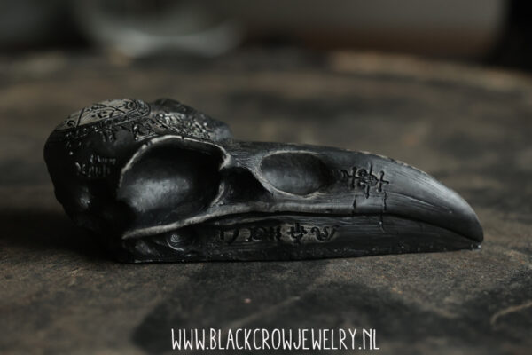 Raven/Crow skull 10 (uitverkocht) - Afbeelding 2