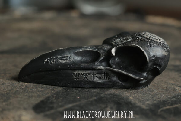 Raven/Crow skull 10 (uitverkocht) - Afbeelding 3