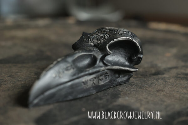 Raven/Crow skull 10 (uitverkocht) - Afbeelding 4