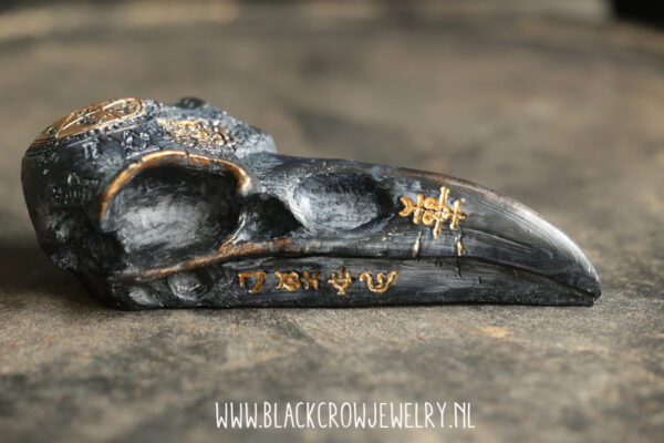 Raven/Crow skull 11 - Afbeelding 2