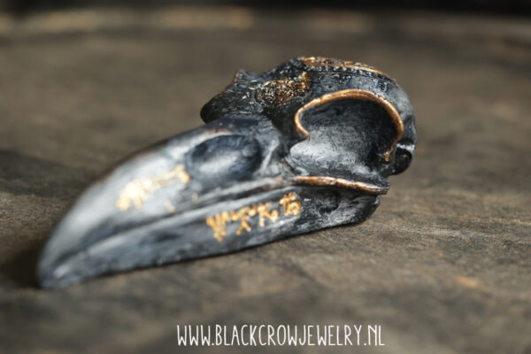 Raven/Crow skull 11 - Afbeelding 4