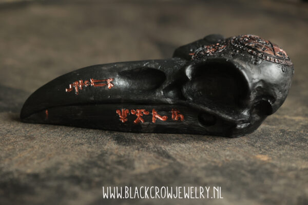 Raven/Crow skull 12 - Afbeelding 2