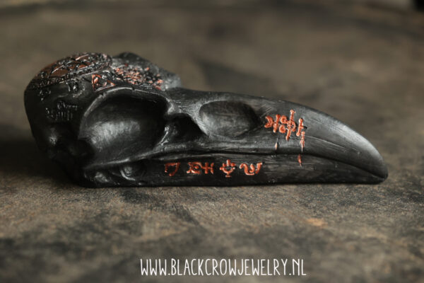 Raven/Crow skull 12 - Afbeelding 3