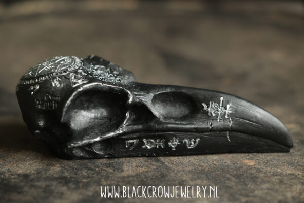 Raven/Crow skull 13 - Afbeelding 2