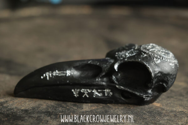 Raven/Crow skull 13 - Afbeelding 3