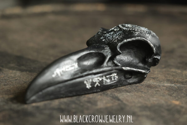 Raven/Crow skull 13 - Afbeelding 4