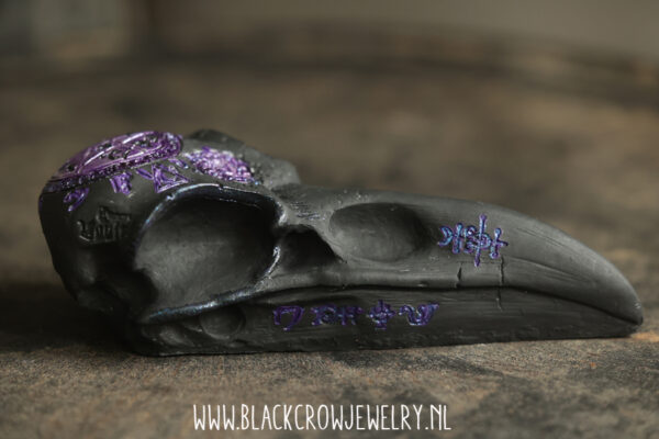 Raven/Crow skull 14 - Afbeelding 2