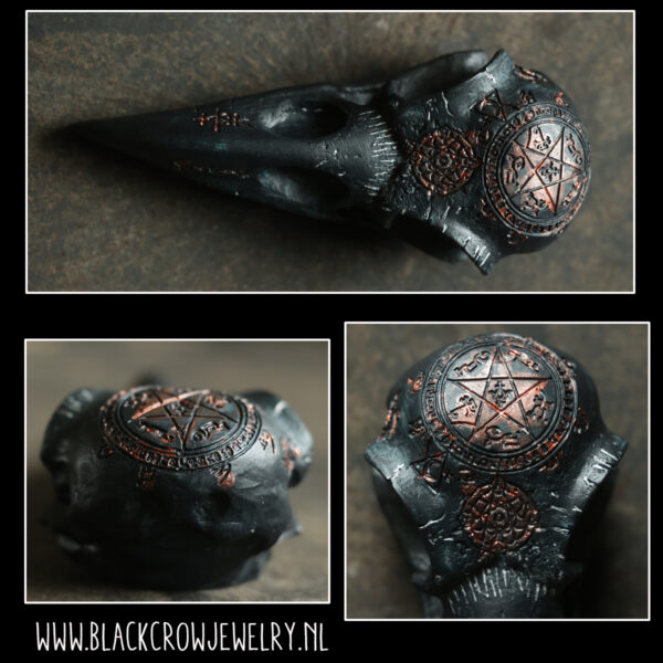 Raven/Crow skull 2 (uitverkocht)