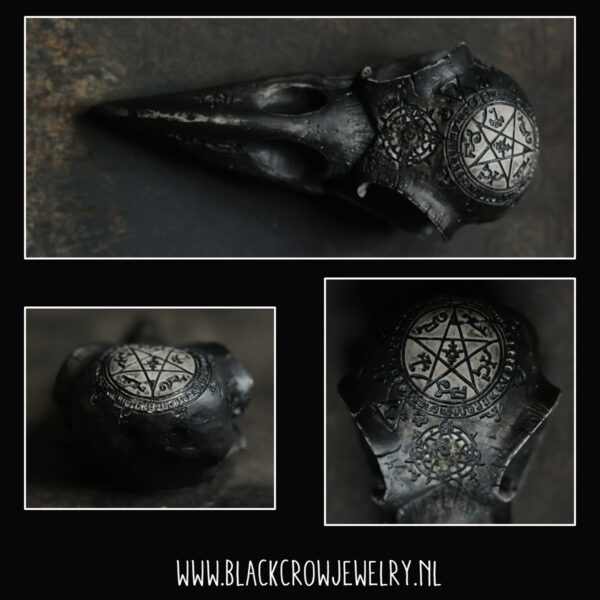 Raven/Crow skull 10 (uitverkocht)