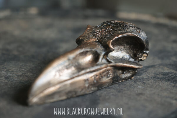 Raven/Crow skull 15 - Afbeelding 3