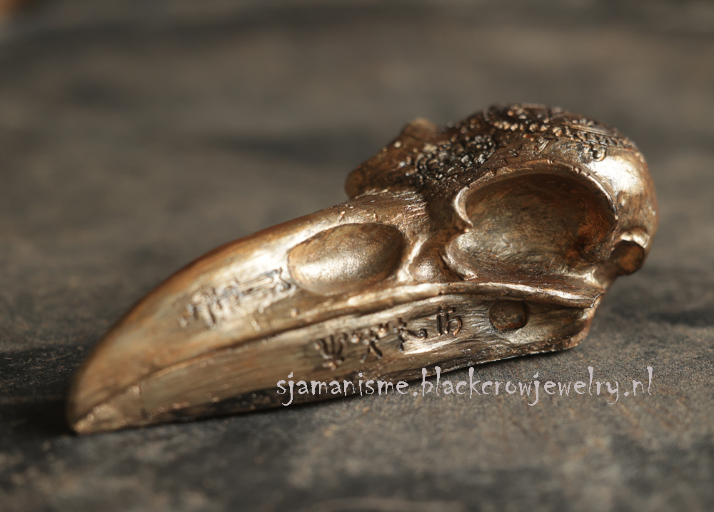 Raven/Crow skull 15 - Afbeelding 2