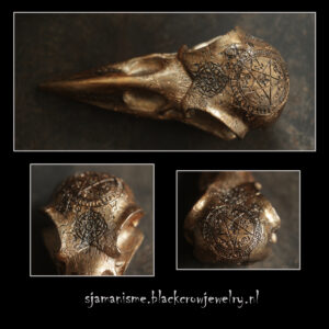Raven/Crow skull 15