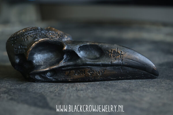 Raven/Crow skull 16 - Afbeelding 2