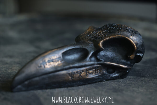 Raven/Crow skull 16 - Afbeelding 3