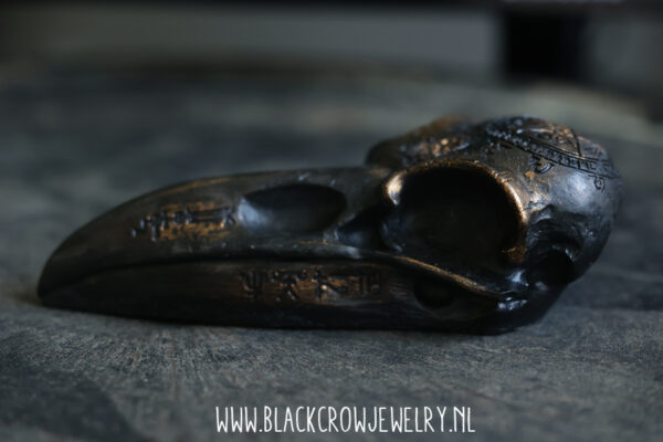 Raven/Crow skull 16 - Afbeelding 4