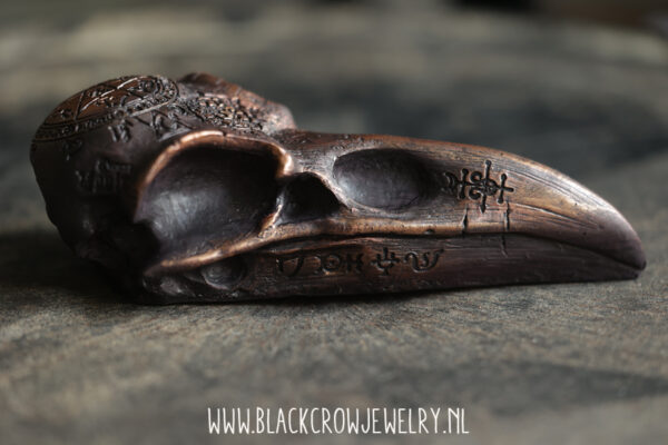 Raven/Crow skull 17 (uitverkocht) - Afbeelding 2