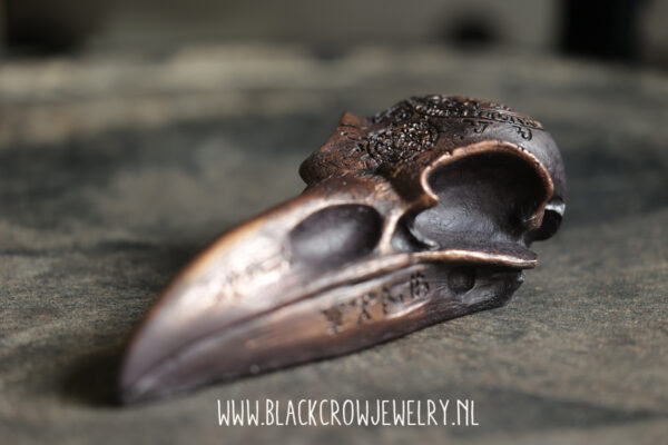 Raven/Crow skull 17 (uitverkocht) - Afbeelding 3