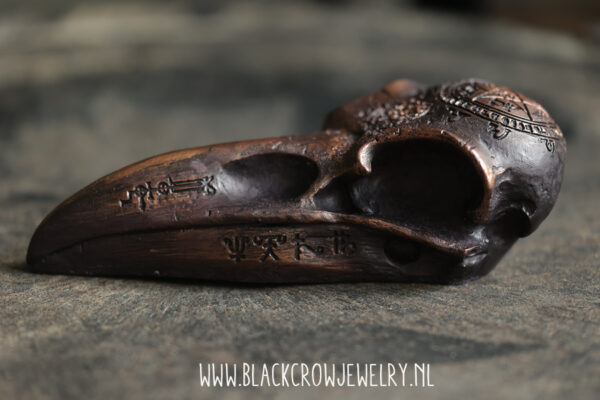 Raven/Crow skull 17 (uitverkocht) - Afbeelding 4