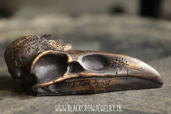 Raven/Crow skull 18 - Afbeelding 2