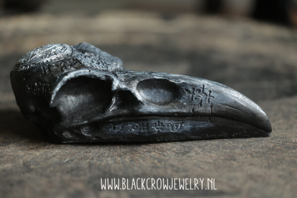 Raven/Crow skull 19 (uitverkocht) - Afbeelding 2