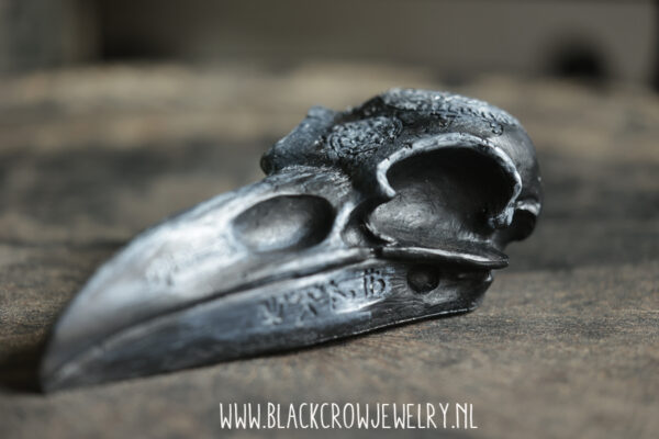 Raven/Crow skull 19 (uitverkocht) - Afbeelding 3