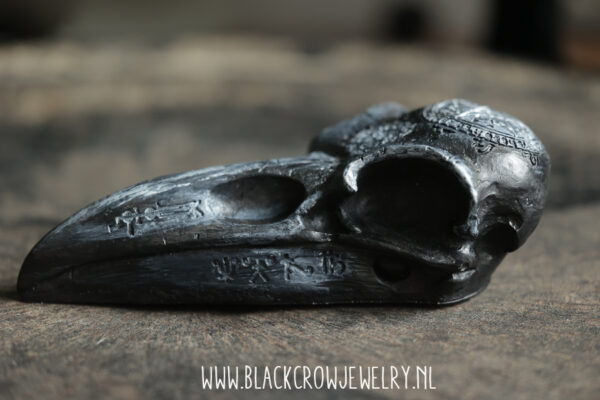 Raven/Crow skull 19 (uitverkocht) - Afbeelding 4