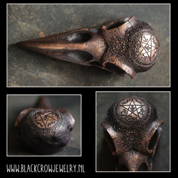 Raven/Crow skull 17 (uitverkocht)