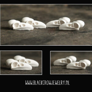 ** nieuw: kleine crow skulls