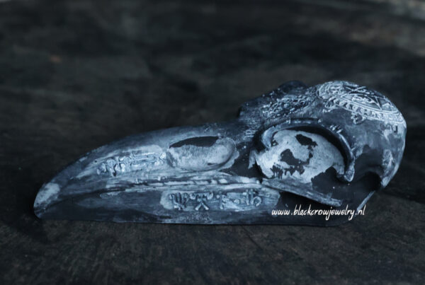 Raven/Crow Skull 22 - Afbeelding 4