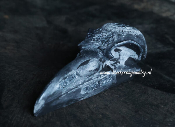 Raven/Crow Skull 22 - Afbeelding 2