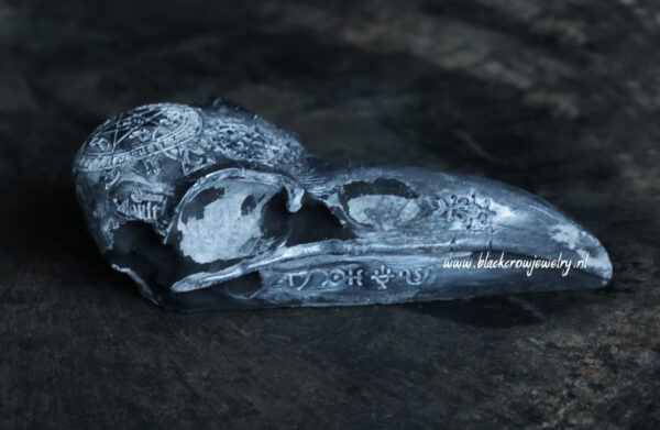 Raven/Crow Skull 22 - Afbeelding 3