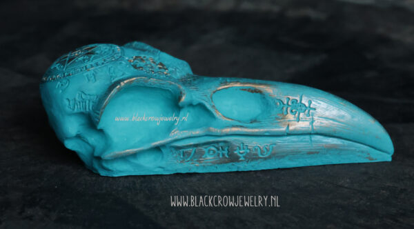 Raven/Crow Skull 21 - Afbeelding 2