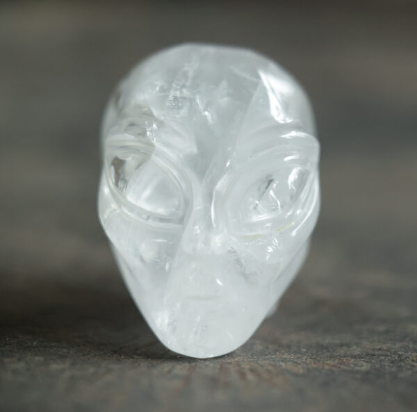 Skull Alien 2