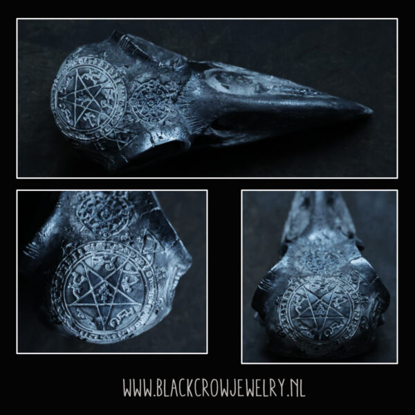 Raven/Crow Skull 22